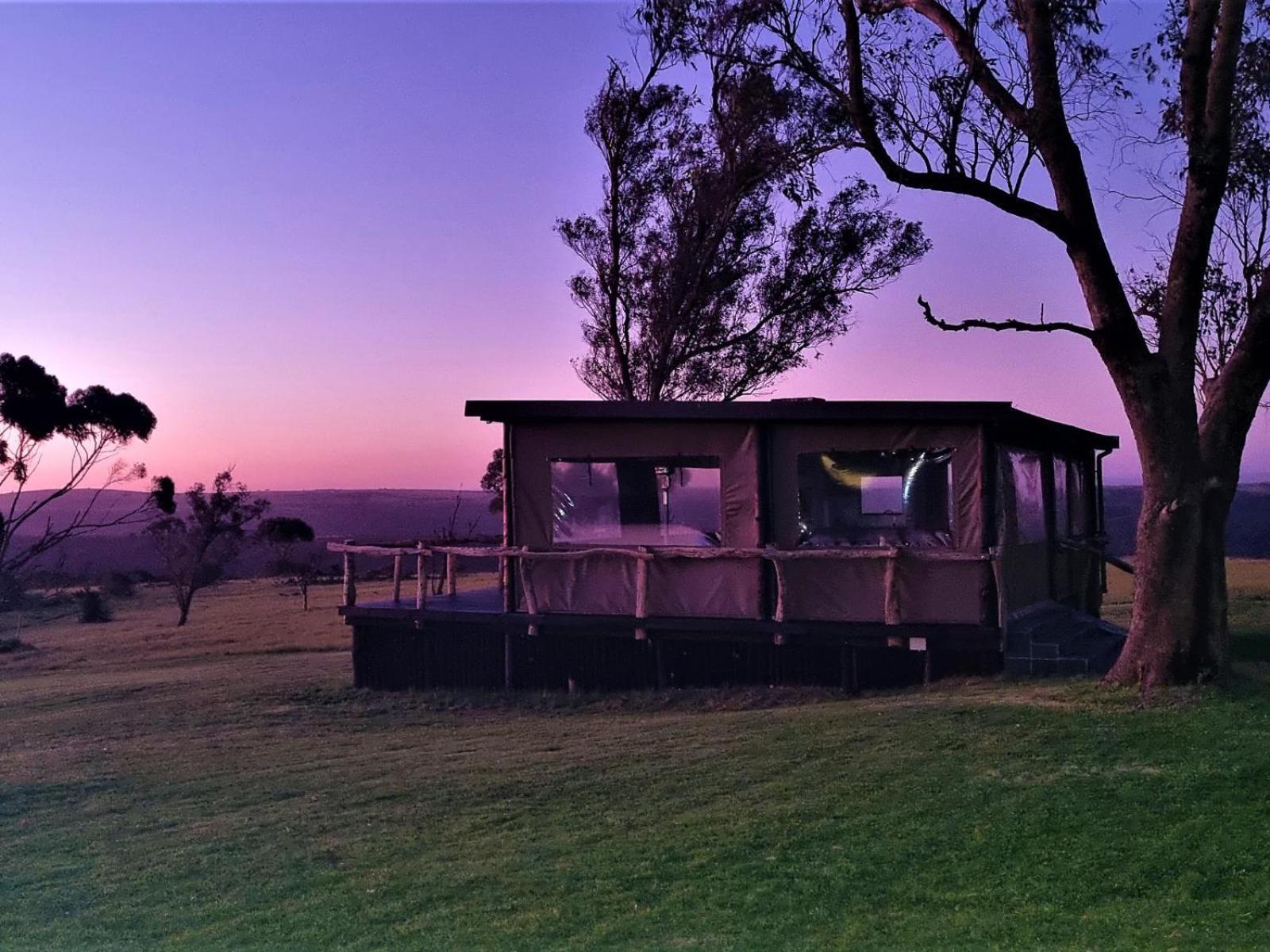 Umbono Private Game Lodge Alexandria (Eastern Cape) Exterior foto